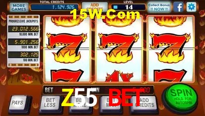 Game Providers Z55 Bet